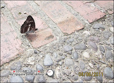IMG_1942s.jpg