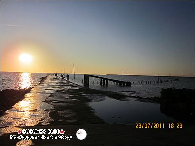IMG_2124s.jpg