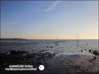 IMG_2125s.jpg