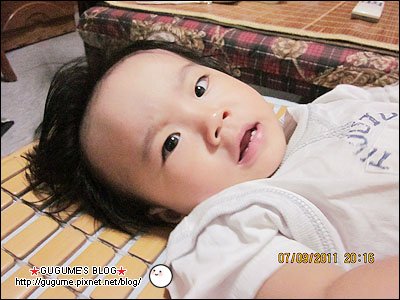 IMG_2379s.jpg
