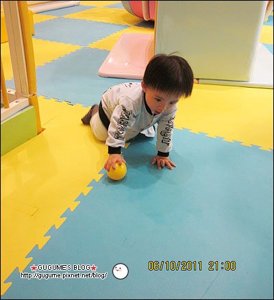 IMG_2560s.jpg
