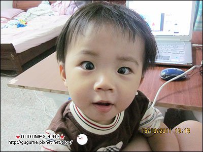 IMG_2578s.jpg