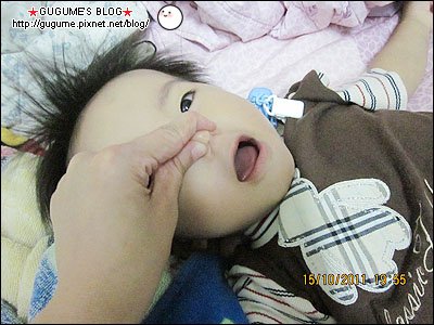 IMG_2626s.jpg