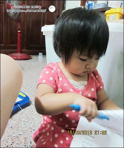 IMG_6337s.jpg