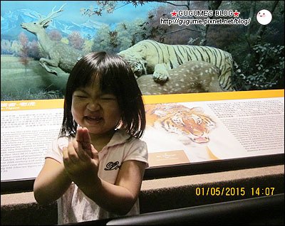 IMG_8030s.jpg