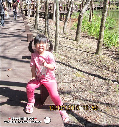 IMG_8586S.jpg