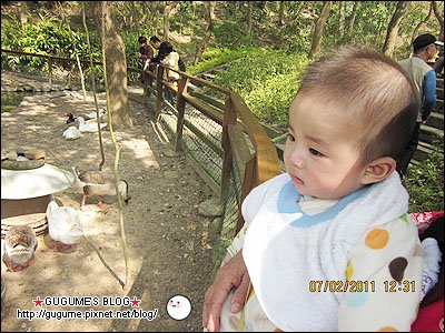IMG_1157s.jpg