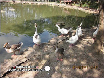 IMG_1155s.jpg