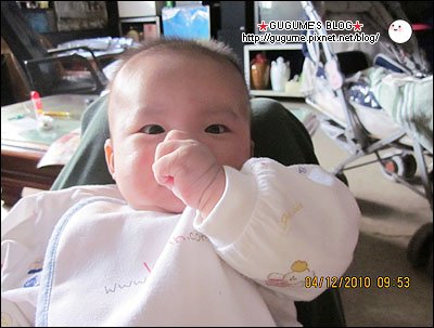 IMG_0468s.jpg