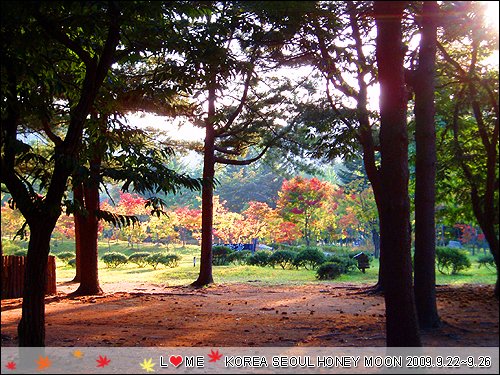 KOREA-059.JPG