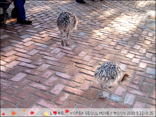 KOREA-060.JPG