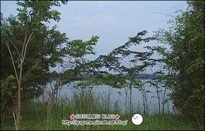 PB161044.JPG