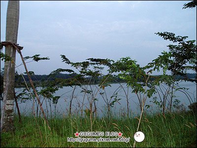 PB161045.JPG