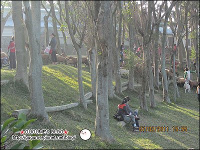 IMG_1160s.jpg