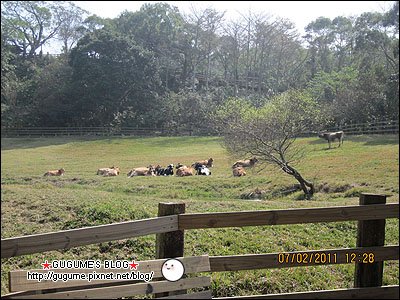 IMG_1152s.jpg