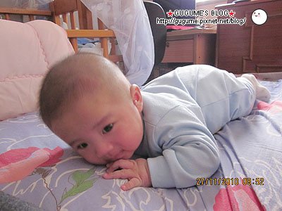 IMG_0432s.jpg
