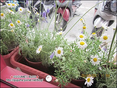 IMG_1490s.jpg