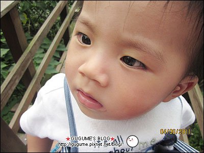 IMG_1946s.jpg
