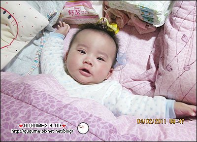 IMG_1151s.jpg