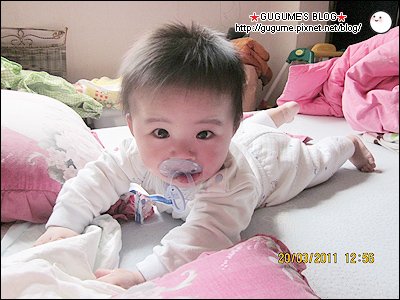 IMG_1453s.jpg