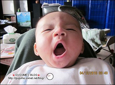 IMG_0460s.jpg