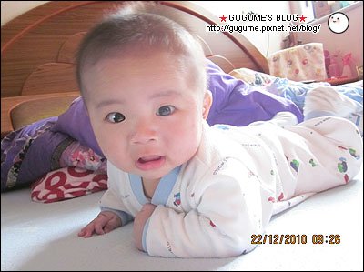 IMG_0612s.jpg