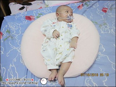 IMG_0198s.jpg
