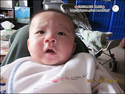IMG_0455s.jpg