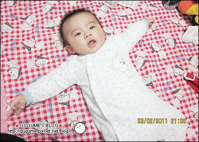 IMG_1142s.jpg