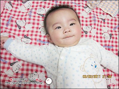 IMG_1144s.jpg