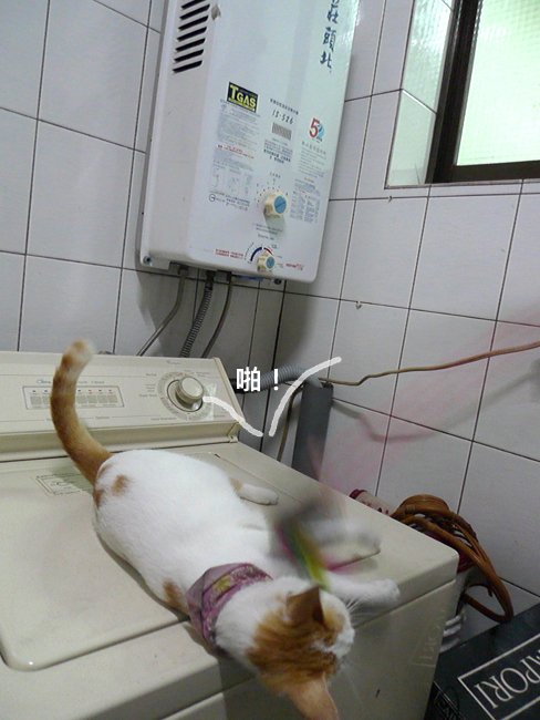 遲鈍的傢伙04.jpg