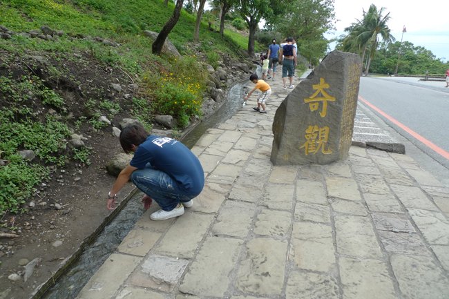 P1010305.jpg