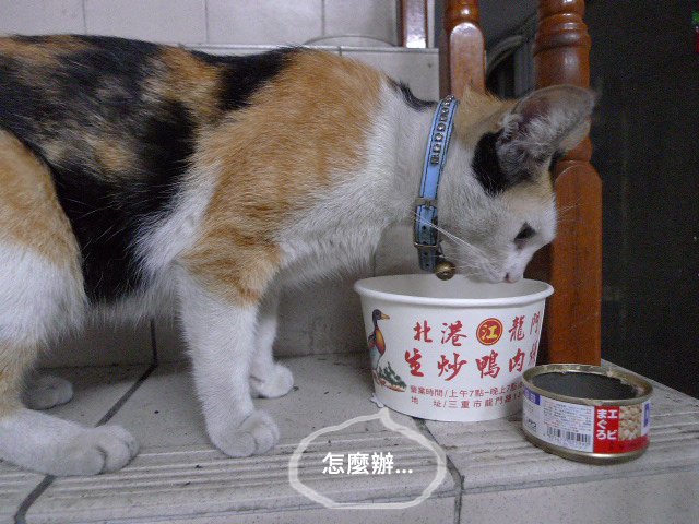 好吃的不得了06