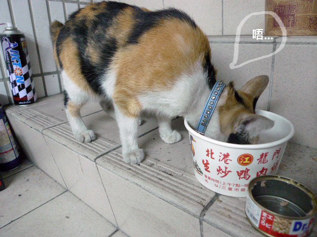 好吃的不得了02