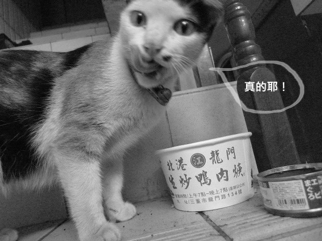 好吃的不得了09