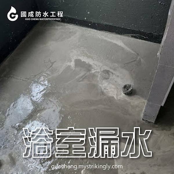 【國成防水工程】台北防水工程推薦，基隆外牆防水推薦，新北防水抓漏推薦，壁癌處理推薦，屋頂漏水維修推薦，地下室漏水處理推薦，外牆漏水責任，基隆防水抓漏推薦，新北防水工程推薦，台北抓漏價格，外牆防水價格，台北抓漏推薦-06.jpg