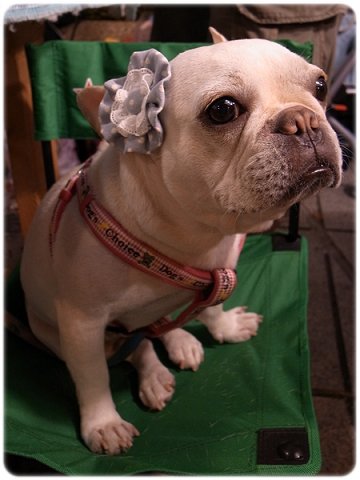 2010.05.15-16_天母市集阿勇來探班_004.jpg