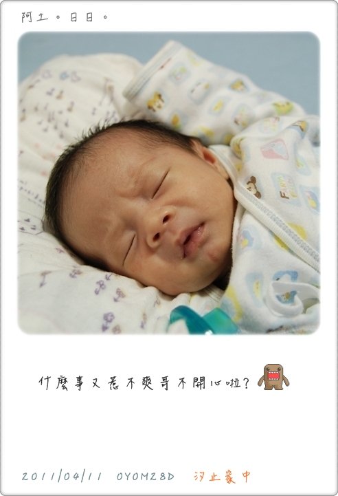 2011-04-11.JPG