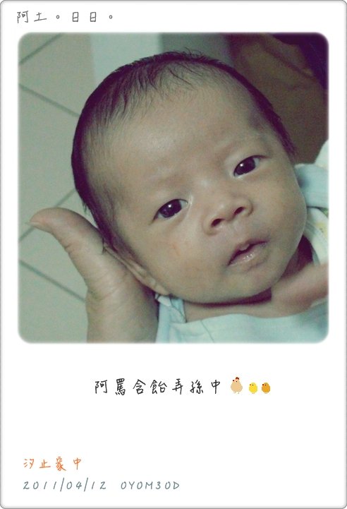 2011-04-13.JPG