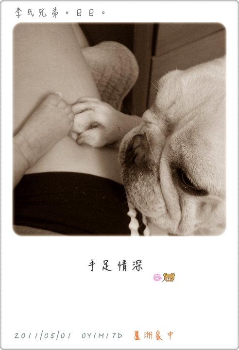 2011-05-01-4.JPG