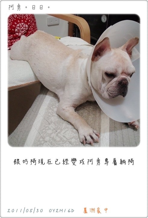 2011-05-30-1.JPG