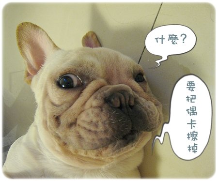2009.08.06_阿勇的蛋蛋不見了_001.JPG