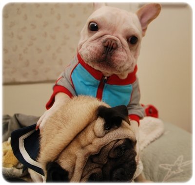 2009.11.21_PET QBEQ 秋冬新裝_019.JPG