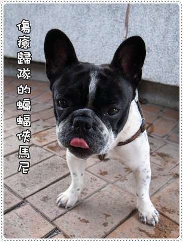 2010.07.10_宜蘭武荖坑_007.JPG