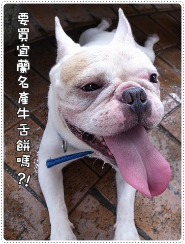 2010.07.10_宜蘭武荖坑_004.JPG