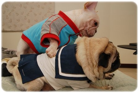 2009.11.21_PET QBEQ 秋冬新裝_018.JPG