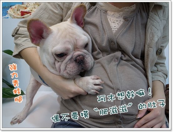 2010-11-18_阿勇葛格_002.jpg