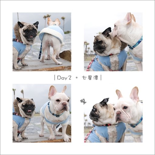 2009-12-25_花蓮行_002.jpg