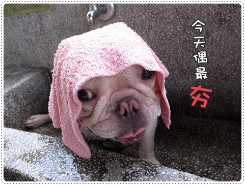 2010.07.10_宜蘭武荖坑_003.JPG