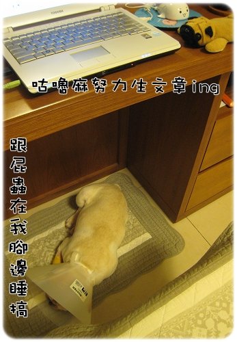 2009.08.06_阿勇的蛋蛋不見了_011.JPG